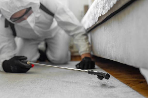 Professional Bed Bug Control technician working in Anderson Creek, NC