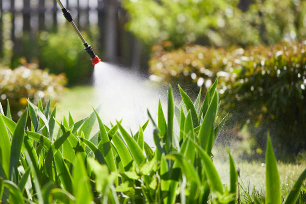 24/7 Emergency Bed Bug Control experts in Anderson Creek, NC