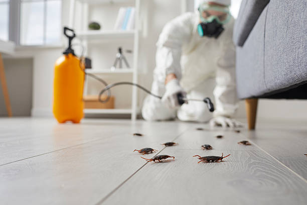 Trusted Cockroach Control service in Anderson Creek, NC - Nex Pest Control